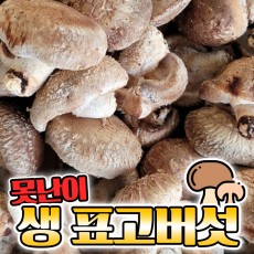 못난이 표고버섯